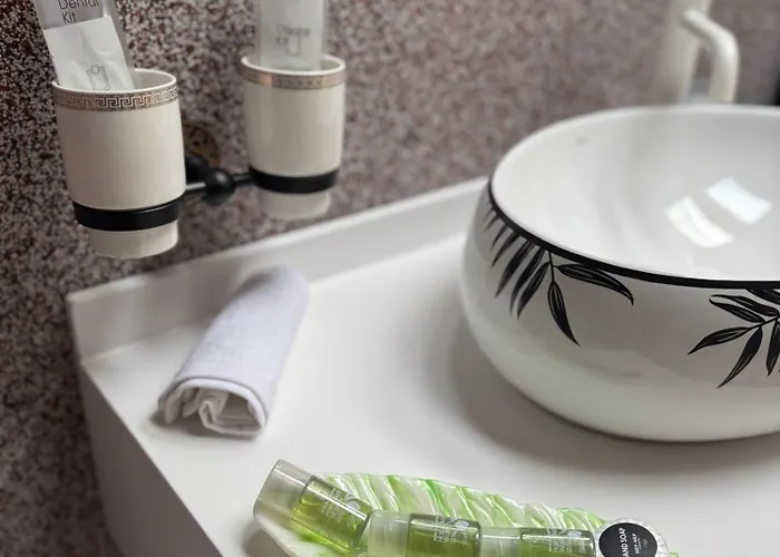 ホテル Jmr Splendor - Private Sauna & Bathtub コンスタンツァ